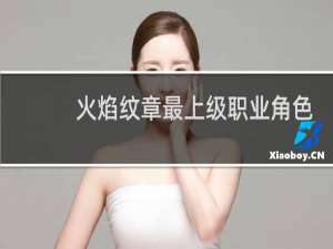火焰纹章最上级职业角色