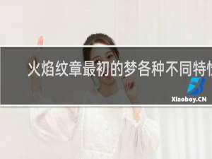 火焰纹章最初的梦各种不同特性