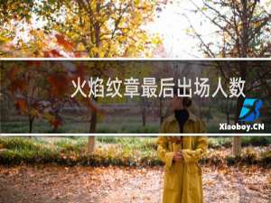 火焰纹章最后出场人数