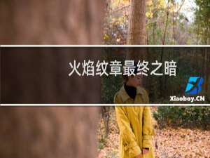 火焰纹章最终之暗