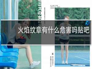 火焰纹章有什么危害吗贴吧