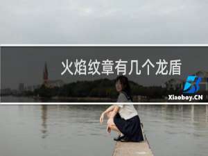 火焰纹章有几个龙盾