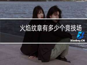 火焰纹章有多少个竞技场