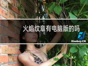 火焰纹章有电脑版的吗