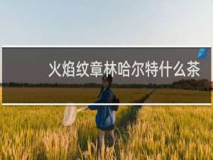 火焰纹章林哈尔特什么茶