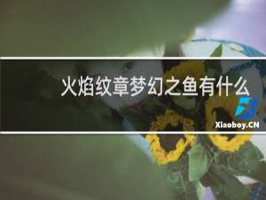 火焰纹章梦幻之鱼有什么