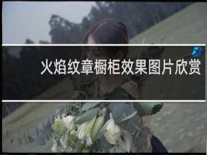 火焰纹章橱柜效果图片欣赏