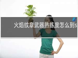 火焰纹章武器熟练度怎么到s