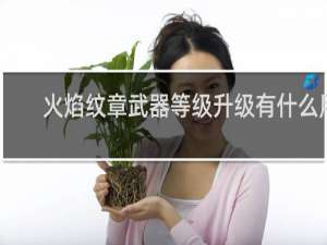 火焰纹章武器等级升级有什么用