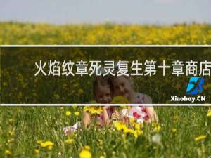 火焰纹章死灵复生第十章商店