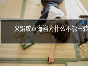 火焰纹章海盗为什么不能三转