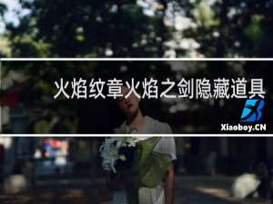 火焰纹章火焰之剑隐藏道具