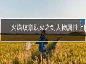 火焰纹章烈火之剑人物属性上限