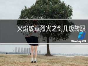 火焰纹章烈火之剑几级转职