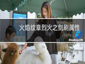 火焰纹章烈火之剑刷属性