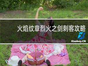 火焰纹章烈火之剑刺客攻略