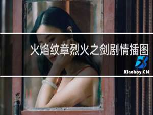 火焰纹章烈火之剑剧情插图