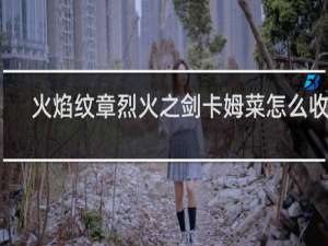 火焰纹章烈火之剑卡姆菜怎么收服