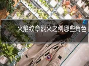 火焰纹章烈火之剑哪些角色