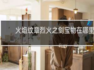 火焰纹章烈火之剑宝物在哪里