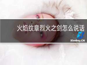 火焰纹章烈火之剑怎么说话