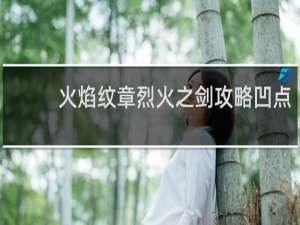 火焰纹章烈火之剑攻略凹点