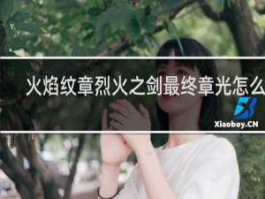 火焰纹章烈火之剑最终章光怎么打