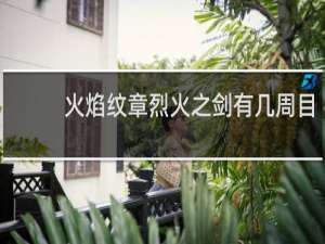 火焰纹章烈火之剑有几周目