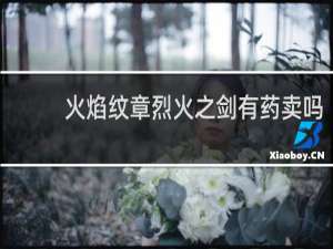 火焰纹章烈火之剑有药卖吗