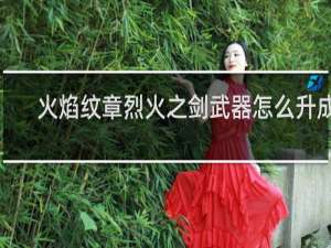 火焰纹章烈火之剑武器怎么升成s