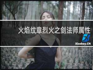 火焰纹章烈火之剑法师属性