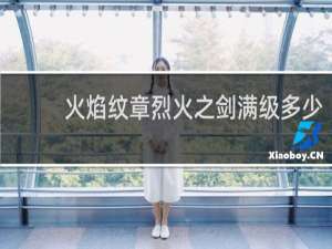 火焰纹章烈火之剑满级多少