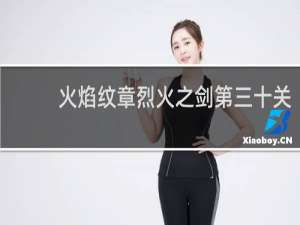 火焰纹章烈火之剑第三十关