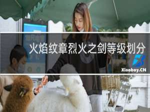 火焰纹章烈火之剑等级划分