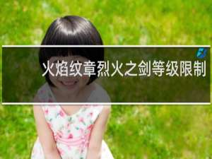 火焰纹章烈火之剑等级限制