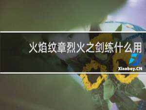 火焰纹章烈火之剑练什么用