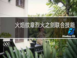 火焰纹章烈火之剑联合技能