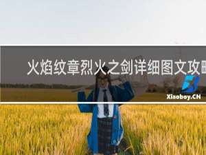 火焰纹章烈火之剑详细图文攻略