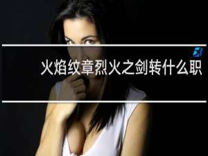 火焰纹章烈火之剑转什么职
