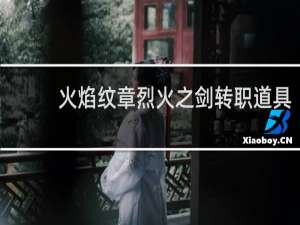 火焰纹章烈火之剑转职道具