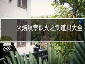 火焰纹章烈火之剑道具大全