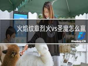 火焰纹章烈火vs圣魔怎么赢