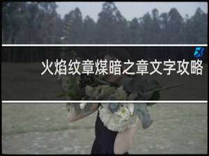火焰纹章煤暗之章文字攻略