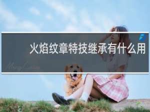 火焰纹章特技继承有什么用