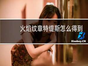 火焰纹章特缇斯怎么得到