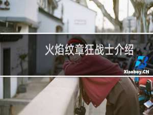 火焰纹章狂战士介绍