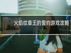 火焰纹章王的誓约游戏攻略