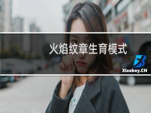 火焰纹章生育模式