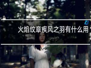 火焰纹章疾风之羽有什么用