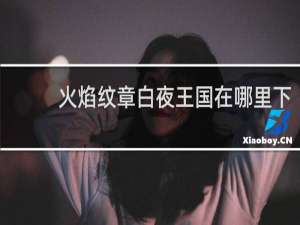 火焰纹章白夜王国在哪里下
